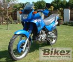 1194 DR 650 RSE.jpg