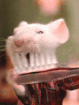 IMAGE004.GIF