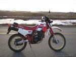 2006_12_11_bikepics-744878-800.jpg