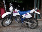 DR_350.JPG