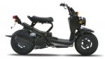 2008-Honda-Ruckus.jpg