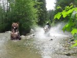 Rick with bear.jpg