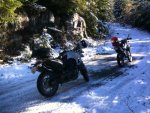 IMG_1197.jpg