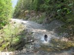 IMG_1303.jpg
