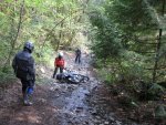 IMG_1336.jpg