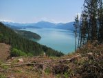 IMG_6572.jpg