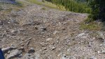 P_20190904_124711.jpg