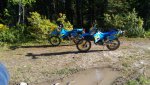 P_20190905_175703 BIG .jpg