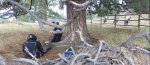 P1280220_stitch.jpg