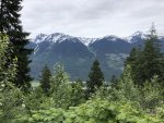 B89E36E1-F308-4418-BB0C-45F8DE8AD697.jpeg