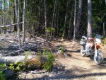 Single track.jpg