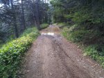 IMG_20200901_134318.jpg