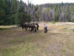 IMG_20200901_143529.jpg