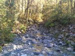 IMG_20200928_115233.jpg