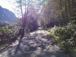 IMG_20200928_105845.jpg