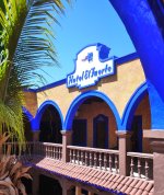 1651333939926.jpeg