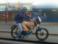 gas tank.jpg gas tank.jpg