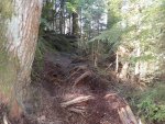 Woody Bridge 1.JPG