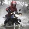 DirtDragon225
