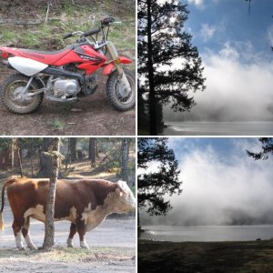baja bike 2006