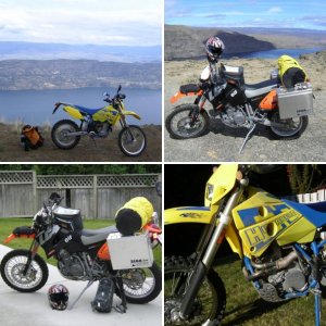 Misc pics