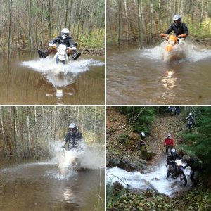 Dualsport 2009