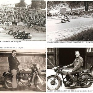 Misc Bikes - some with Knobs!