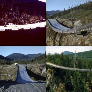 Bedsprings Bridge