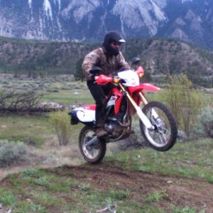Buckshot77