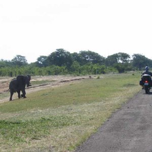 Chobe, Botswana