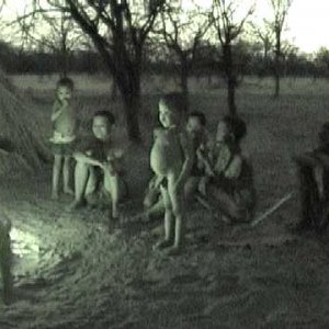 Local Bushman