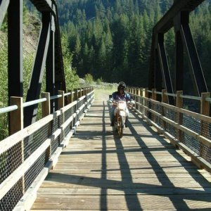 Over the bridge  and through the woods