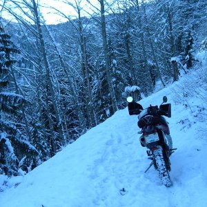 DSCF0110
