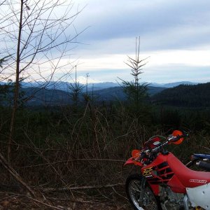 Mt Baker in distance