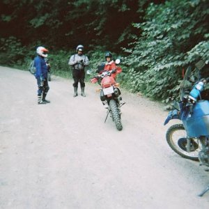 2004 Routledge Run