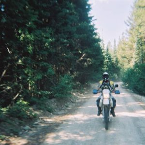 2004 Routledge Run
