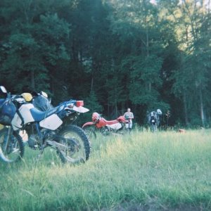 2004 Routledge Run