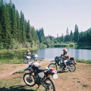 2004 Routledge Run