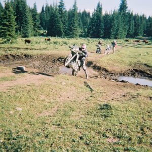 2004 Routledge Run