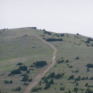P8150039