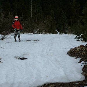 Dirty_Bill1