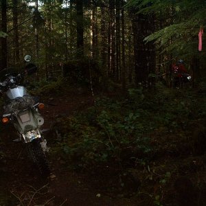 DSCF0396