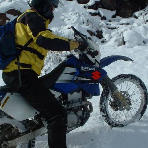 Greg (aka DJG, aka Mr. Trailwing)