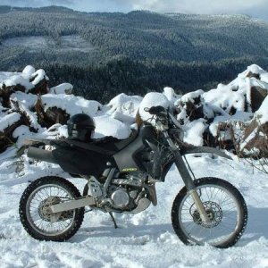 trusty KLX