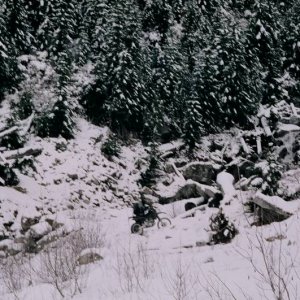 050204-020-Stuck_In_A_Rut