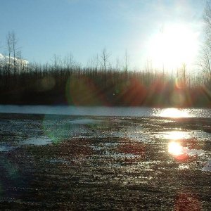 DSCF0403