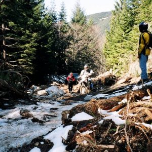 050227-003-Rooty_Trail