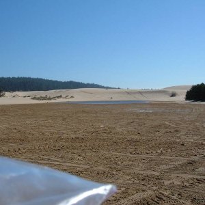 Oregon dunes