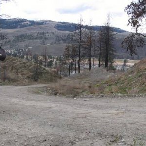 Strawberry hill 2 years later