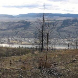 The side of the Mountain is a waste-land With beautifull views